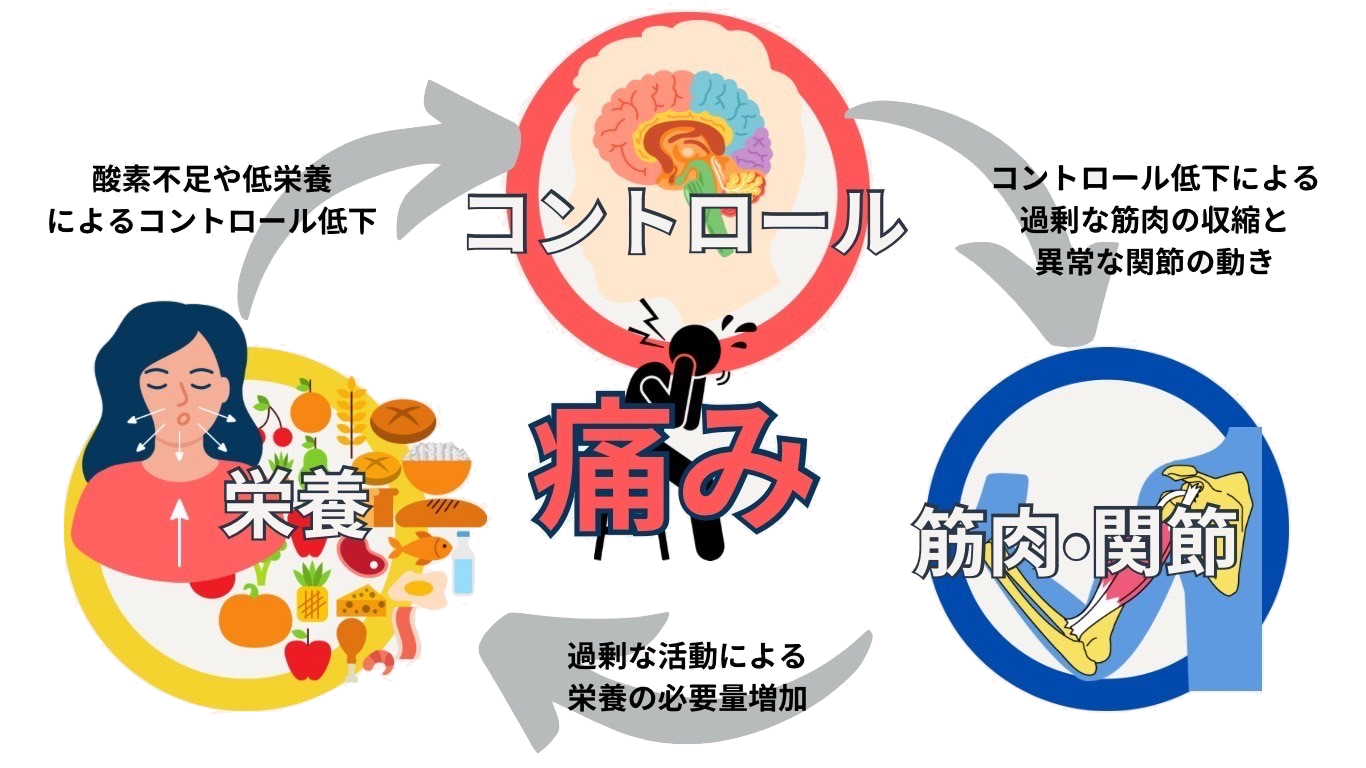 痛みのサイクル